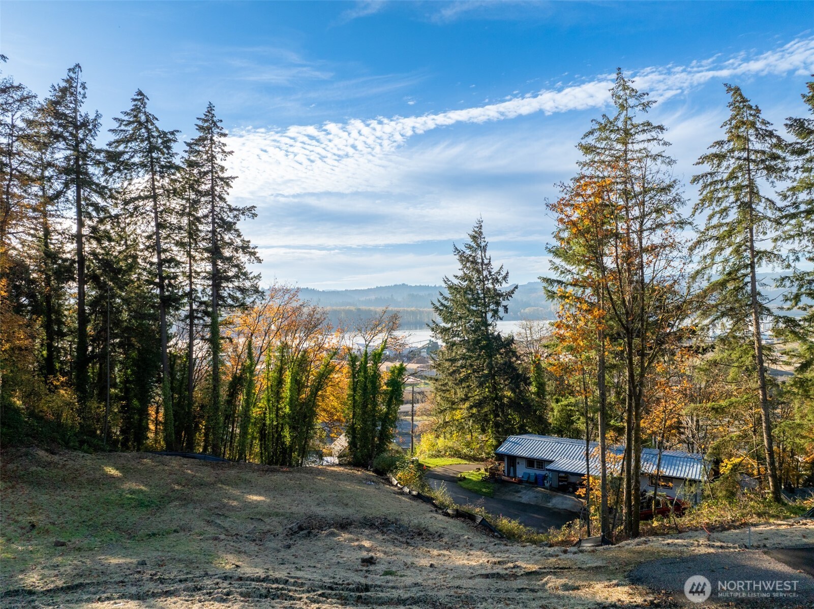 0 Spencer Creek Road, Unit LOT 2 Kalama, WA 98625 - Photo 8 of 30 a view of a park with large trees