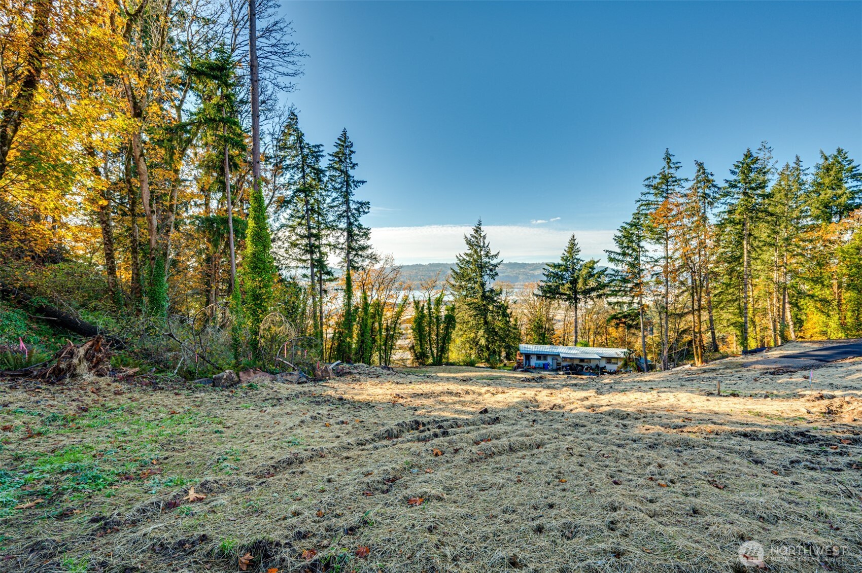0 Spencer Creek Road, Unit LOT 2 Kalama, WA 98625 - Photo 9 of 30 a view of street with a building