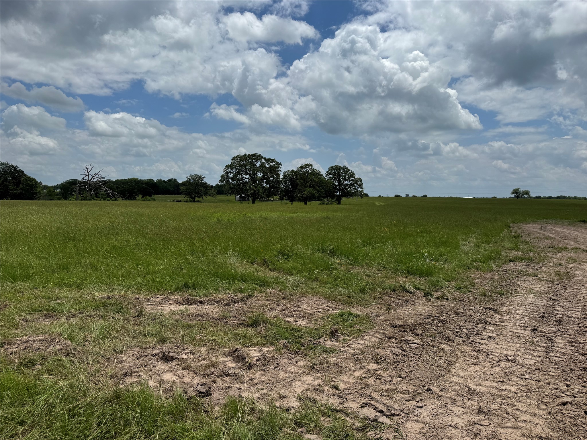 Tbd 18-ac Tbd 18-ac Baker Ridge Road Midway, TX 75852 - Photo 35 of 43