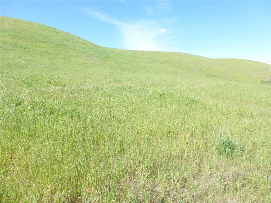 0 Douglas Road San Miguel, CA 93451 - Photo 67 of 75