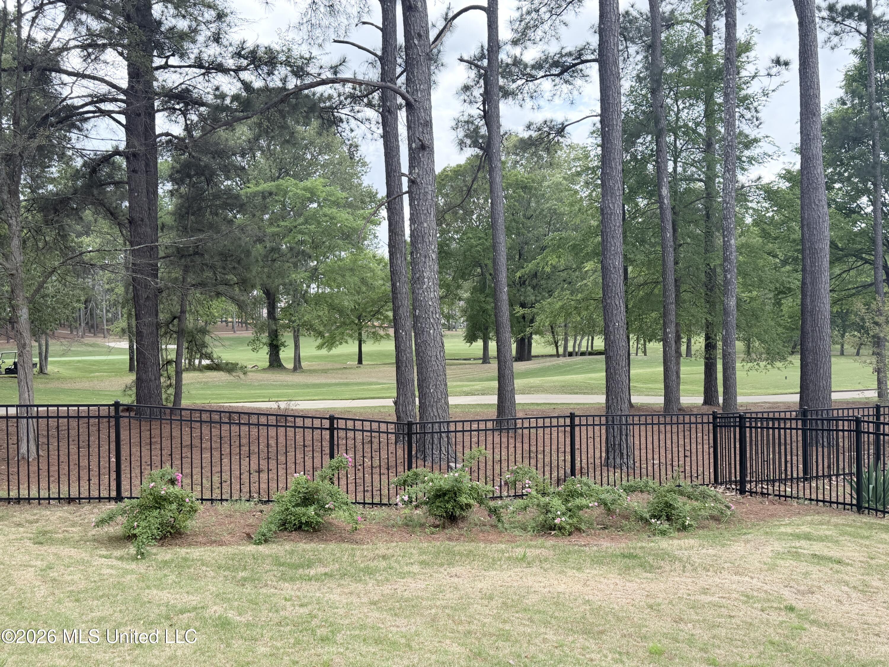 109 Dalton Pointe Madison, MS 39110 - Photo 63 of 64 IMG_8210