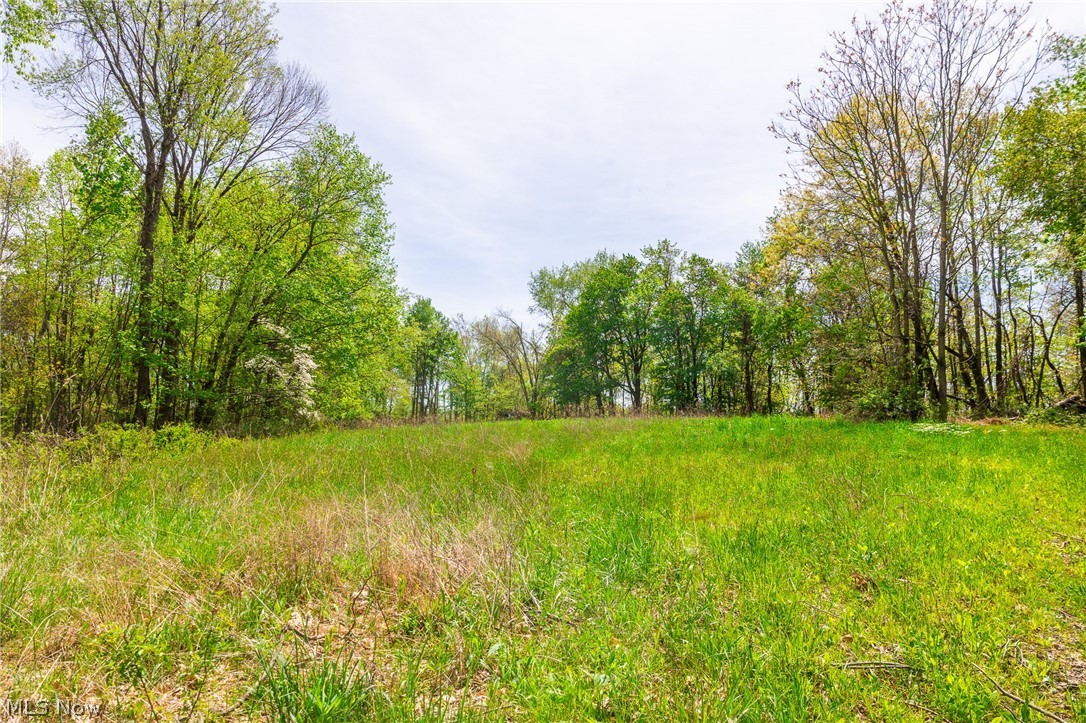 6268 Kings Ridge Road Newcomerstown, OH 43832 - Photo 16 of 46