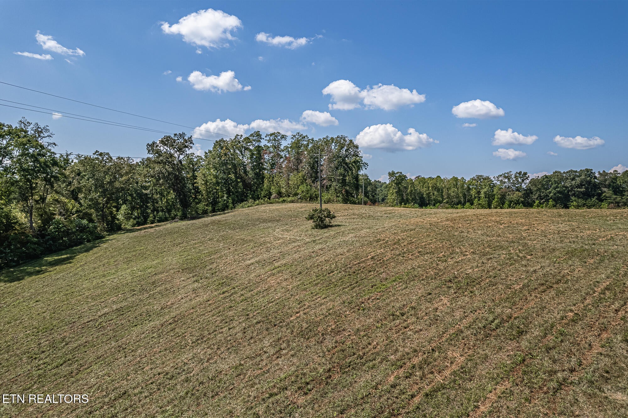 0 Possum Trot Road Philadelphia, TN 37846 - Photo 8 of 8 Gallery Image 8