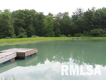 1424 Old Bell Road Iuka, IL 62849 - Photo 3 of 11