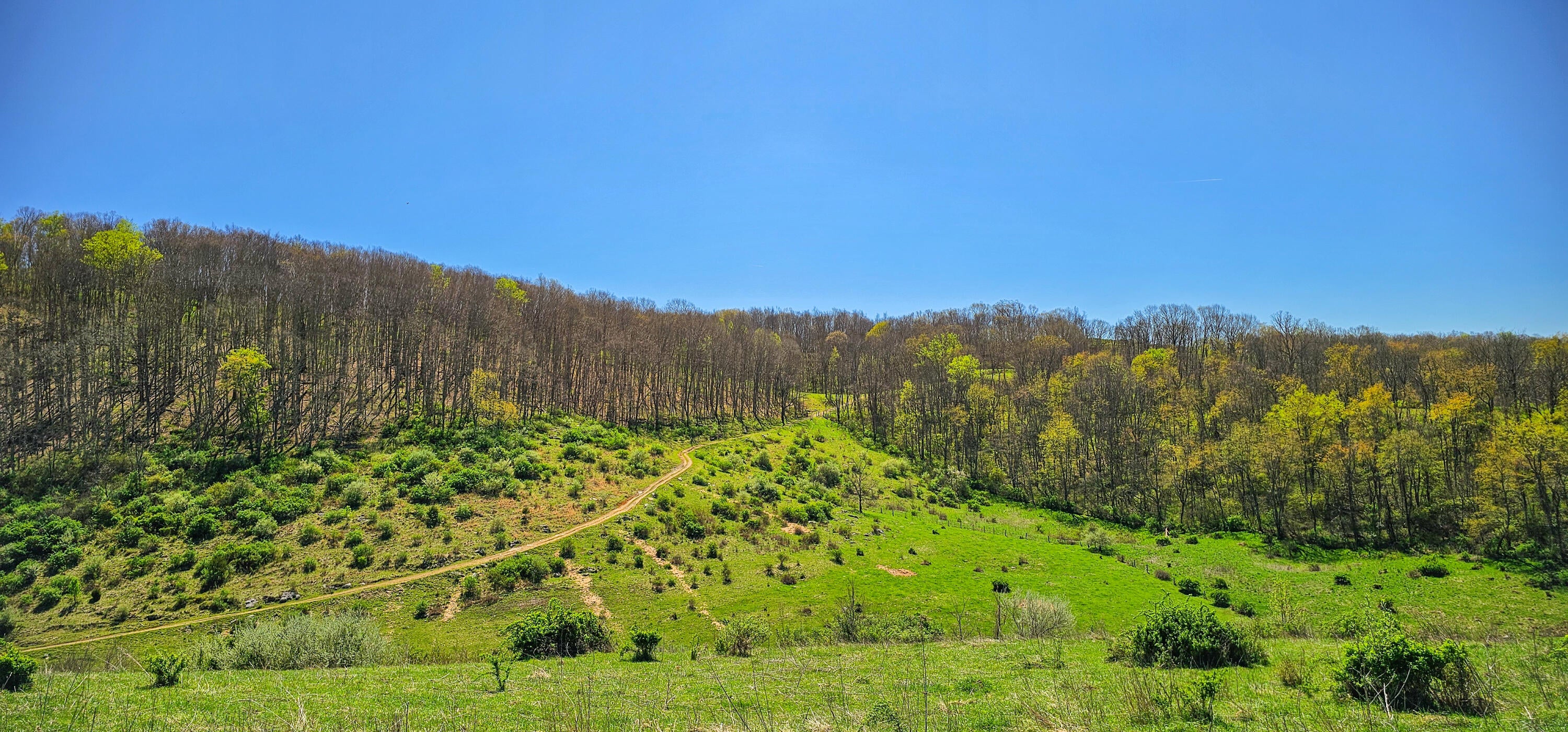 Davis Stuart Road Lewisburg, WV 24901 - Photo 64 of 72 Gallery Image 64