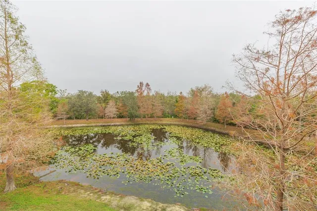 a view of a lake with tall trees