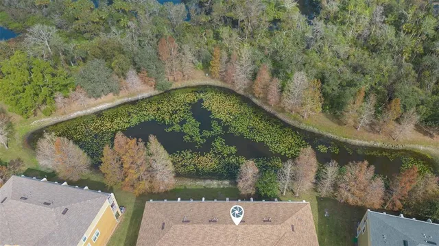 an aerial view of a yard