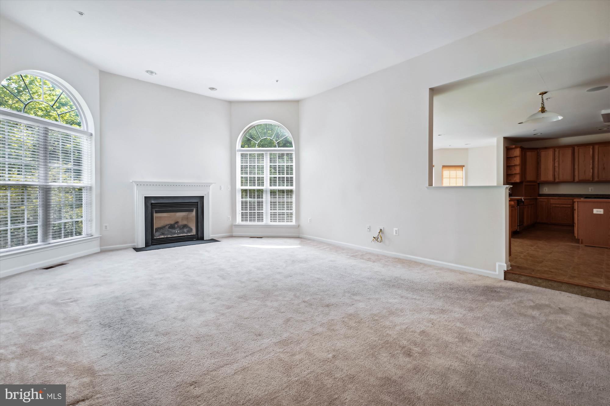 16101 Venice Road Aquasco, MD 20608 - Photo 11 of 40 Family Room w/gas fireplace & mantel