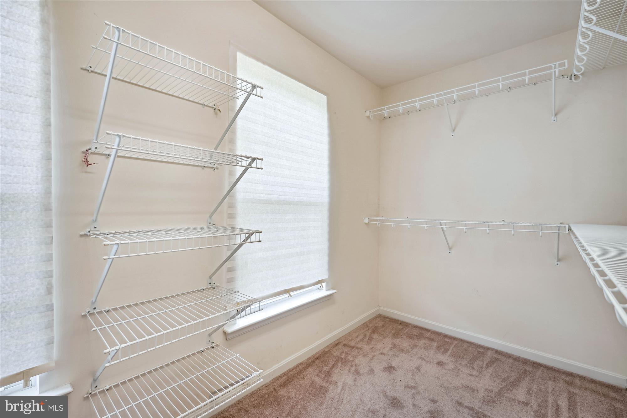 16101 Venice Road Aquasco, MD 20608 - Photo 28 of 40 Primary Walk-in Closet #2