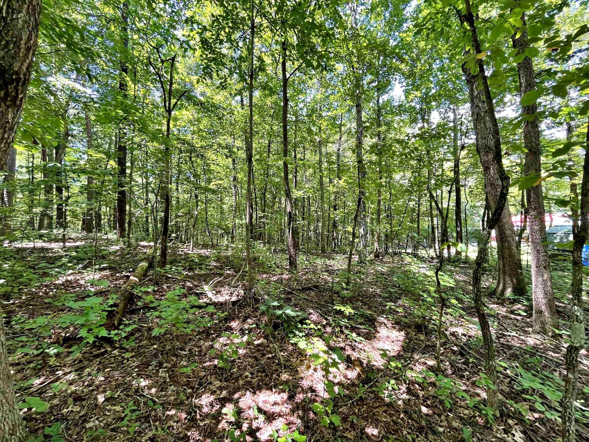 499 Correll Ridge Road Decatur, TN 37322 - Photo 22 of 66