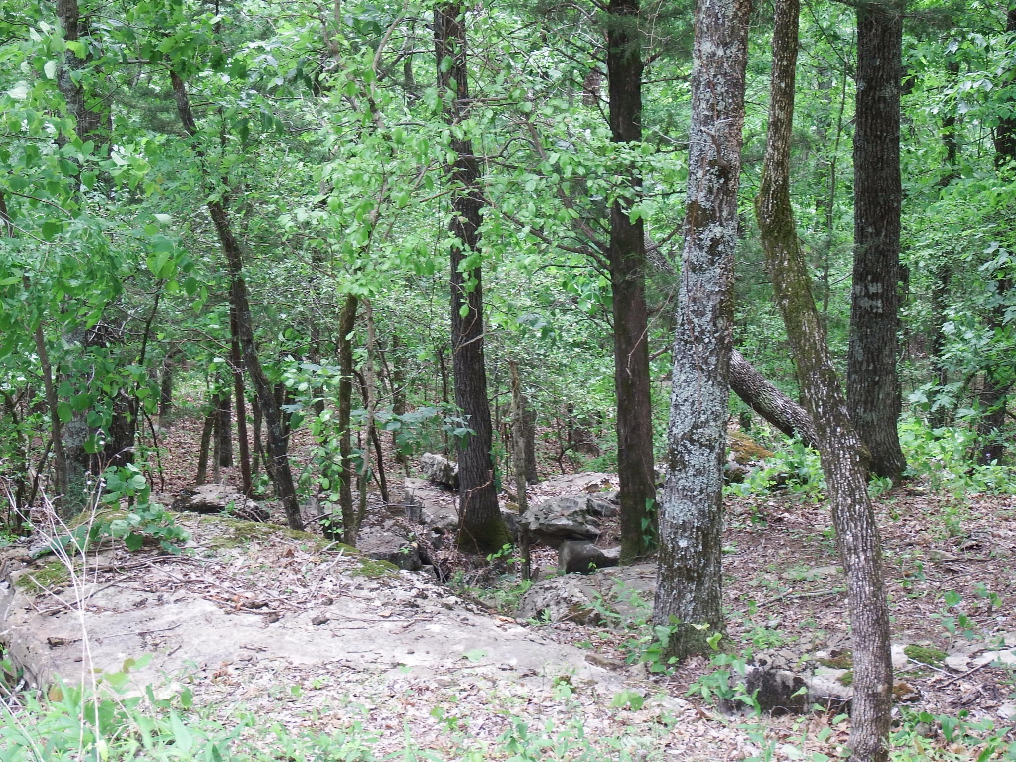25 Bluffs Road North Guild, TN 37340 - Photo 11 of 25 Gallery Image 11