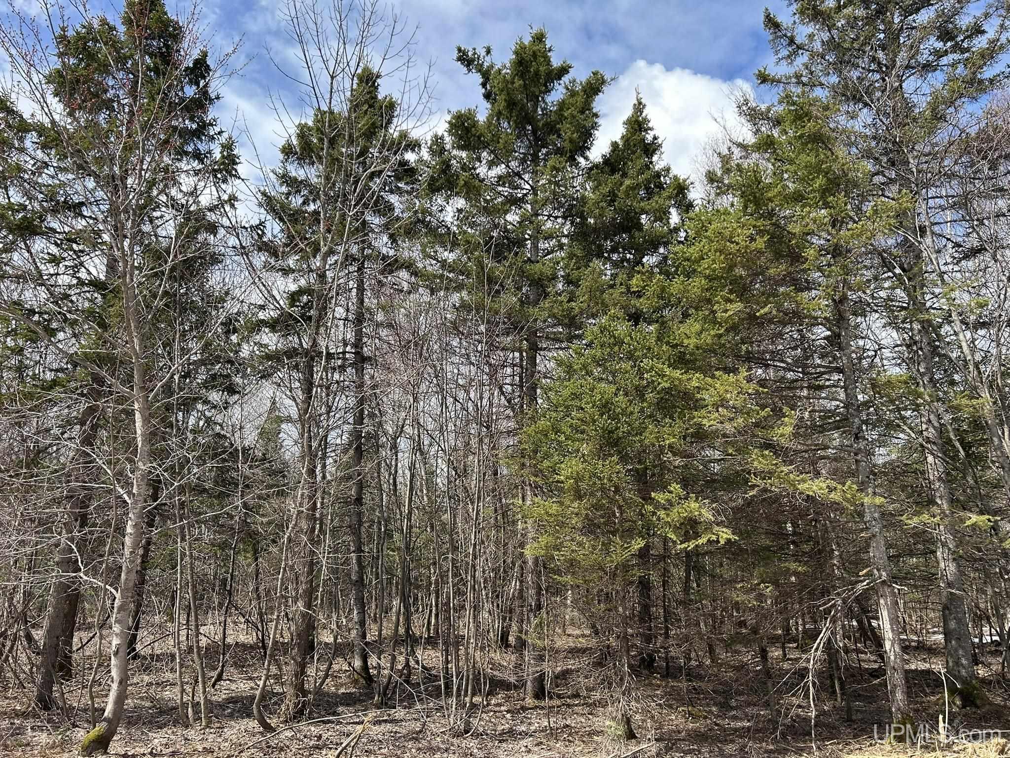 Tbd Tbd Oikarainen Road Calumet, MI 49913 - Photo 5 of 17