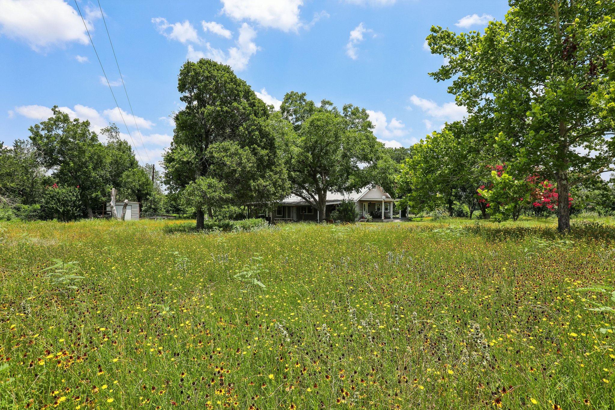 2089 Farm To Market Road 1704 Elgin, TX 78621 - Photo 26 of 31 A tranquil meadow dotted with wildflowers provides a natural, verdant foreground for this charming countryside residence.