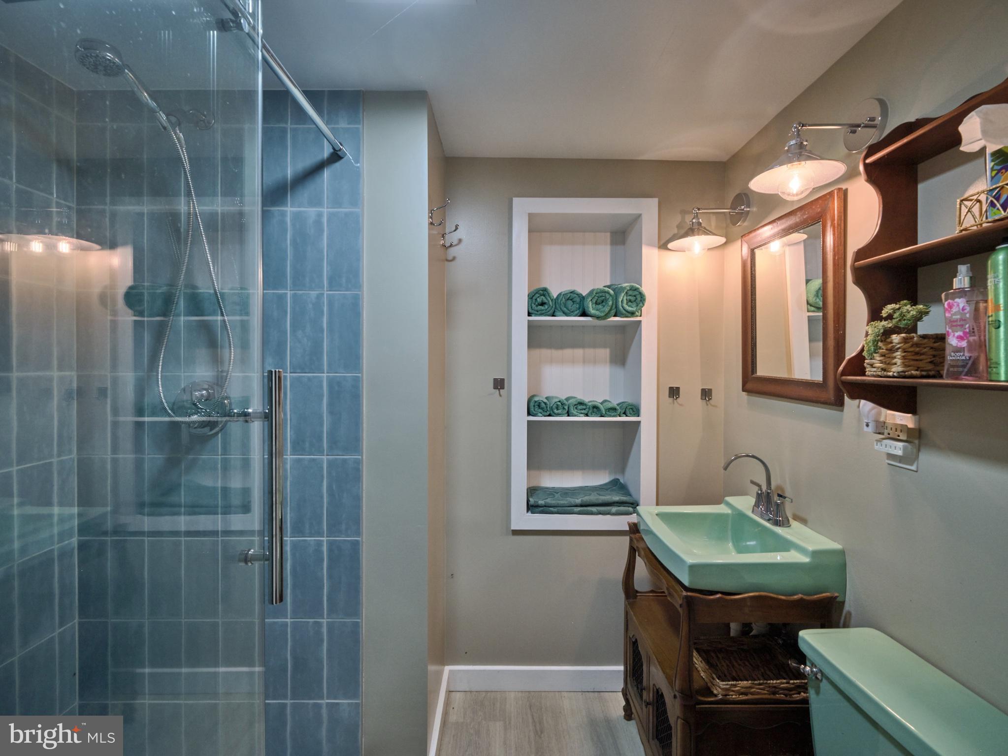 4831 Mountain Top Road West, Unit W New Hope, PA 18938 - Photo 19 of 28 Chic bathroom with modern accents.