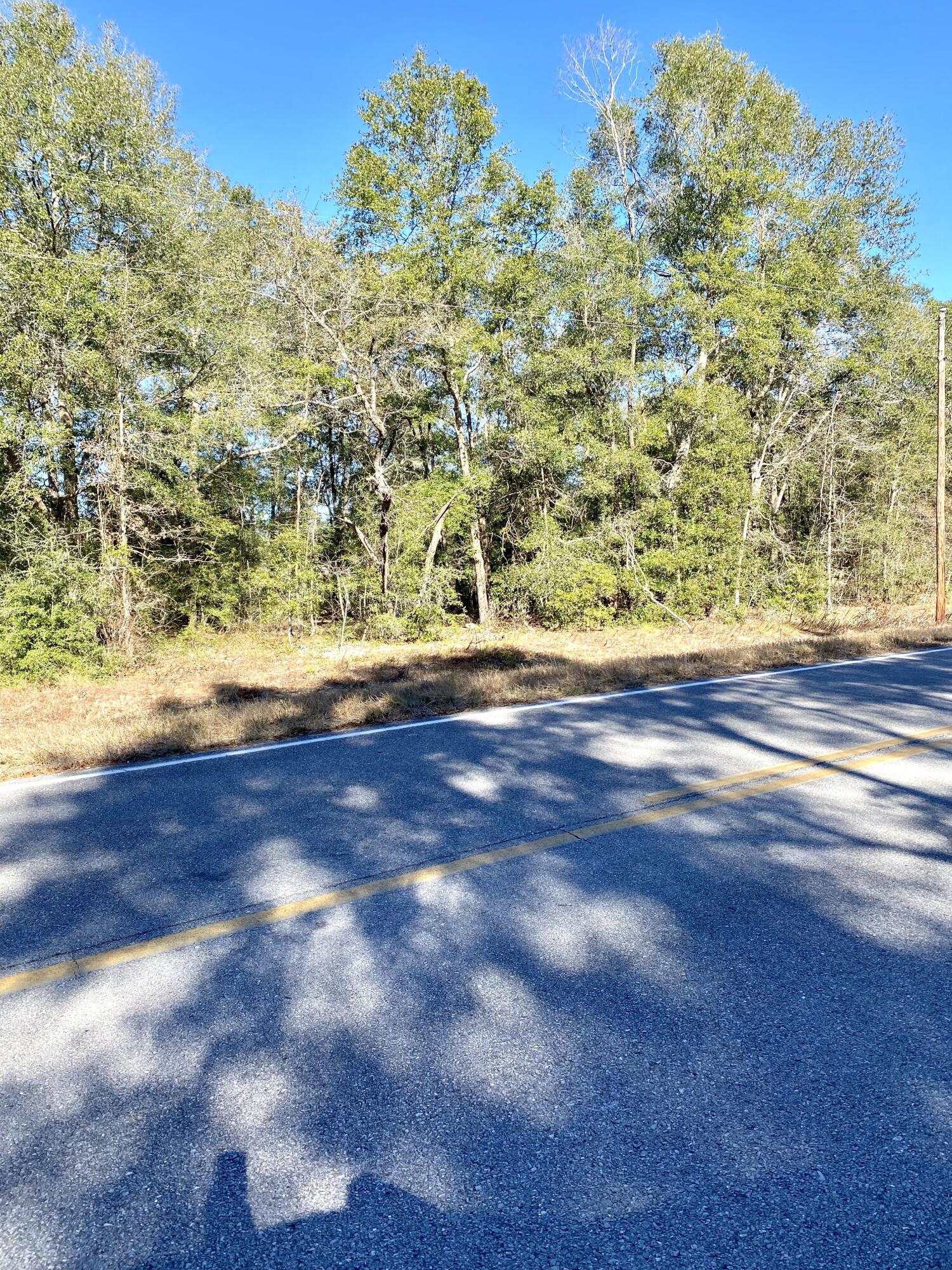 7-acres Macedonia Church Road DeFuniak Springs, FL 32435 - Photo 2 of 5 pine and hardwood