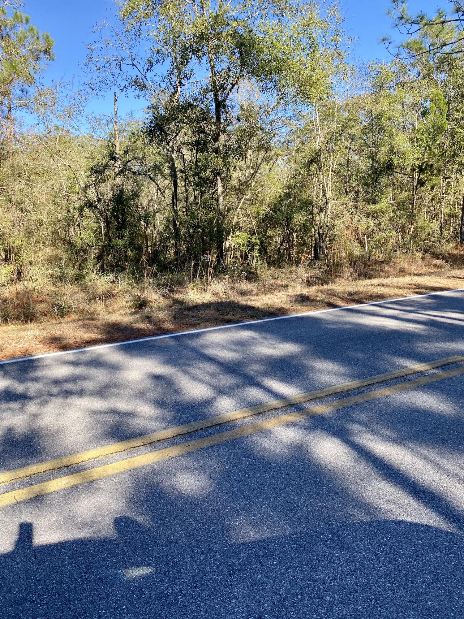 7-acres Macedonia Church Road DeFuniak Springs, FL 32435 - Photo 3 of 5 wooded