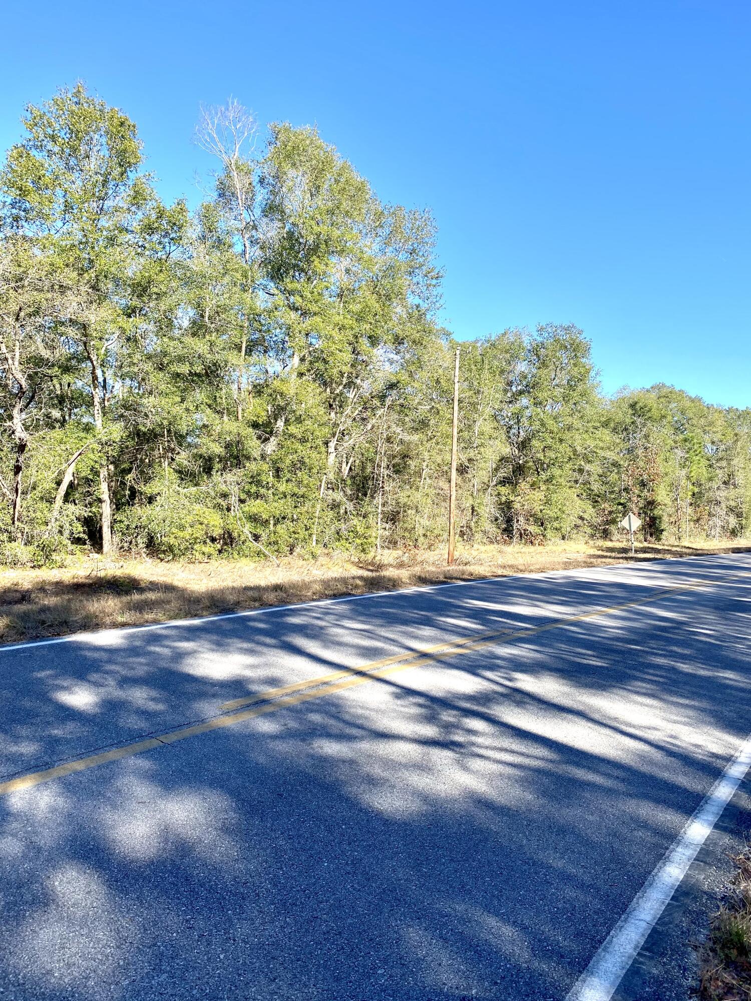 7-acres Macedonia Church Road DeFuniak Springs, FL 32435 - Photo 4 of 5 wooded