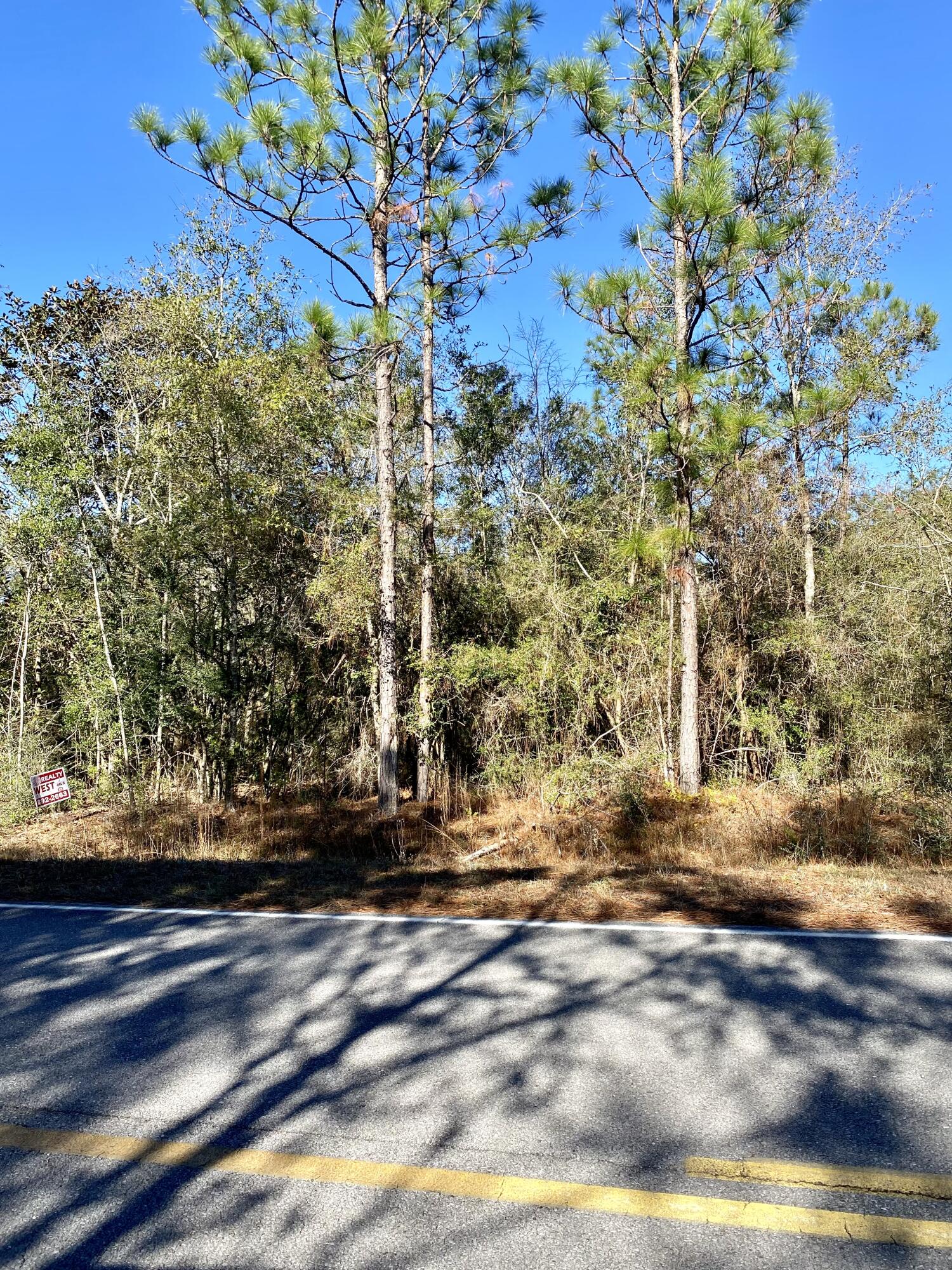 7-acres Macedonia Church Road DeFuniak Springs, FL 32435 - Photo 5 of 5 wooded