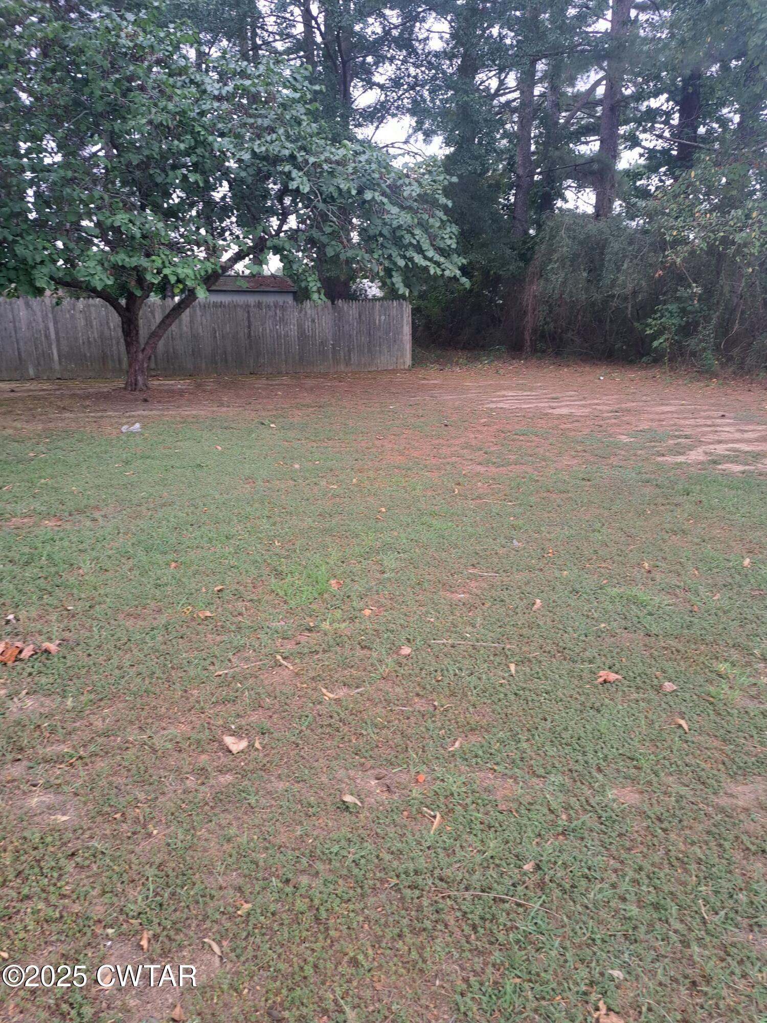48 Regency Drive Jackson, TN 38301 - Photo 2 of 3 a view of a yard with a tree
