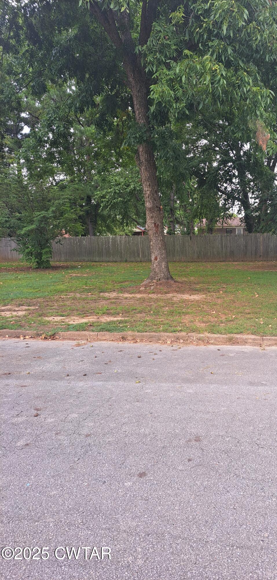 48 Regency Drive Jackson, TN 38301 - Photo 3 of 3 a view of a yard with a lake view