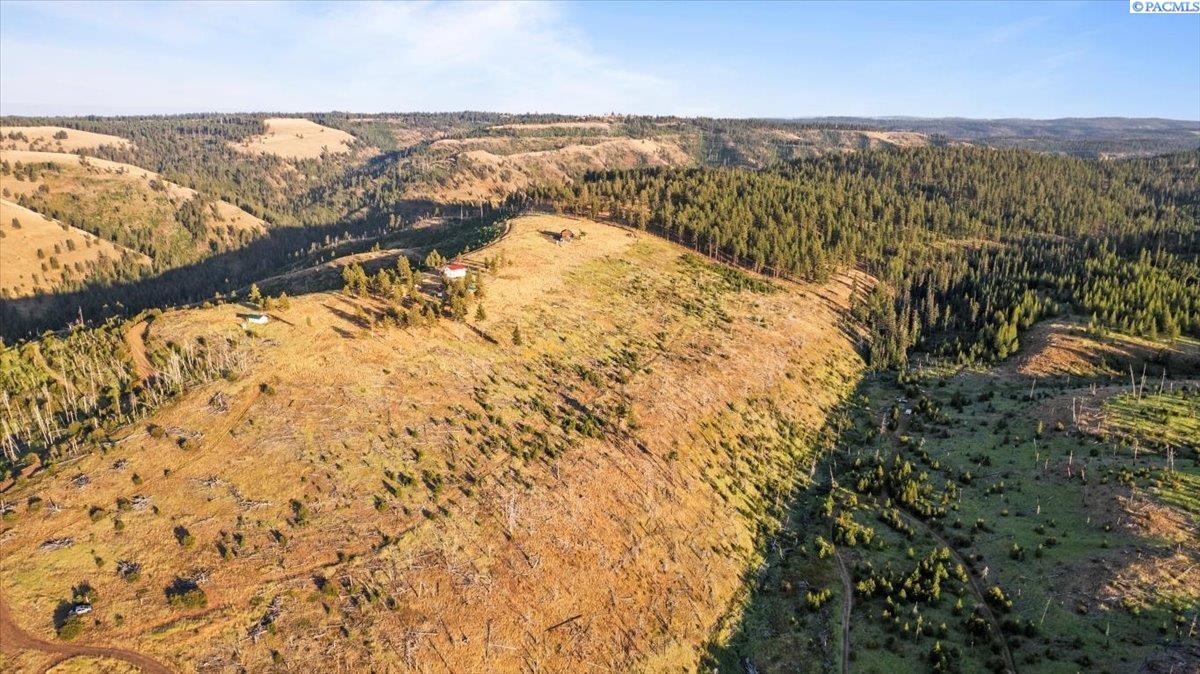 Lot1-tbd Lot1-tbd Stevens Ridge Pomeroy, WA 99347 - Photo 11 of 47 Gallery Image 11