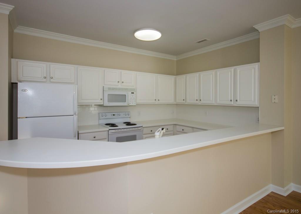 1231 Torrence Circle, Unit 1231 Davidson, NC 28036 - Photo 4 of 24