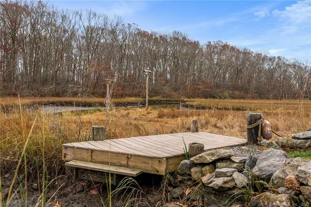 a front view of house with a garden and trees