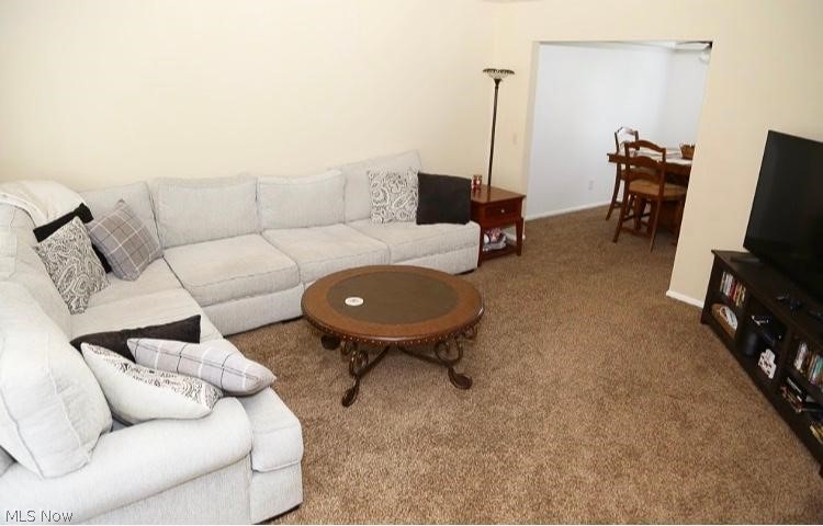 5909 Oak Point Road Lorain, OH 44053 - Photo 4 of 21 Gallery Image 4