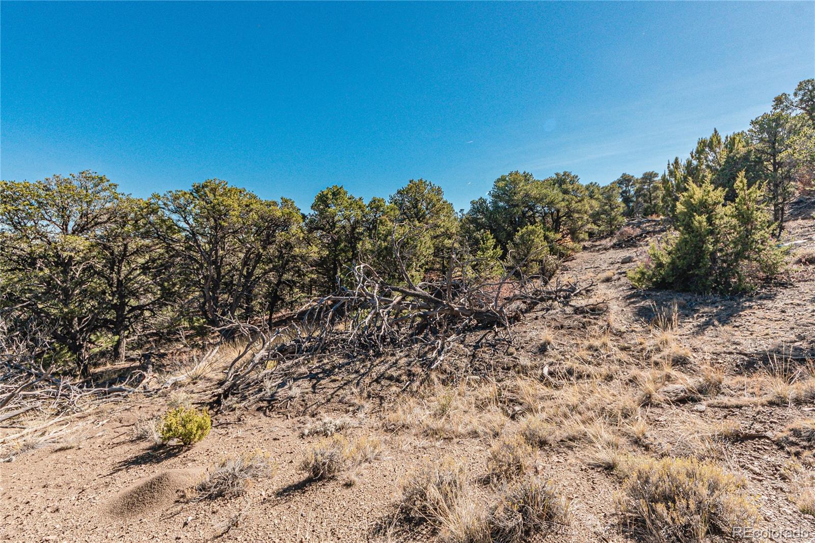 491 Ketchum Road Walsenburg, CO 81089 - Photo 29 of 31