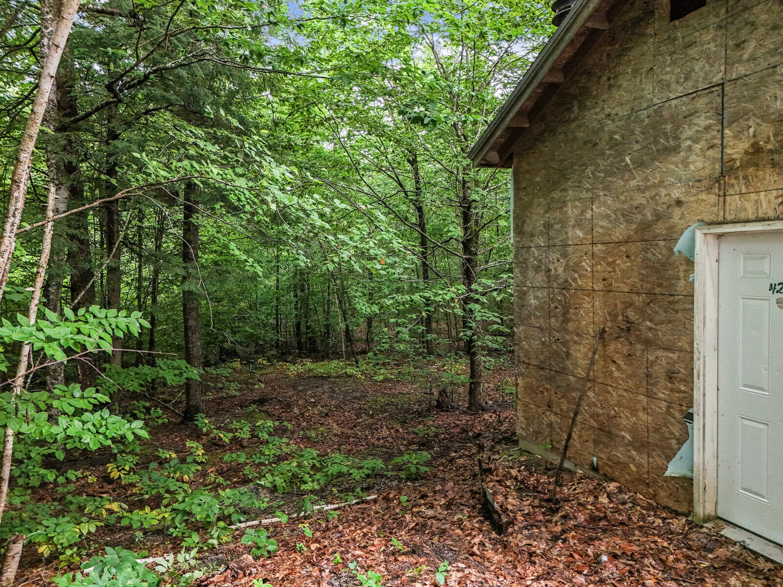 48 Wolf Road Vassalboro, ME 04989 - Photo 10 of 42 10_DJI_20240723130711_0080_D_DxO_mls