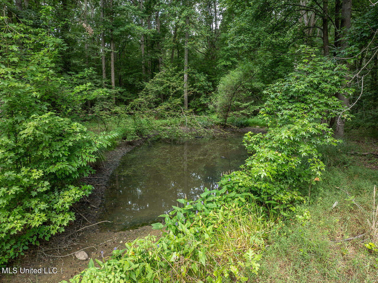 673 Lee Road Byhalia, MS 38611 - Photo 4 of 32 drone-28-2-10