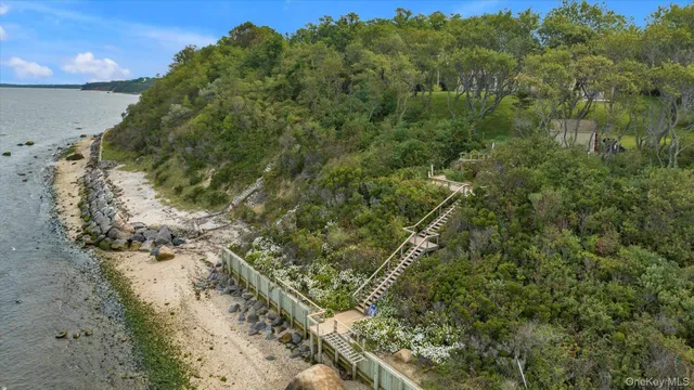 a view of a forest with a forest