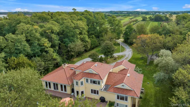 an aerial view of residential houses with outdoor space and trees