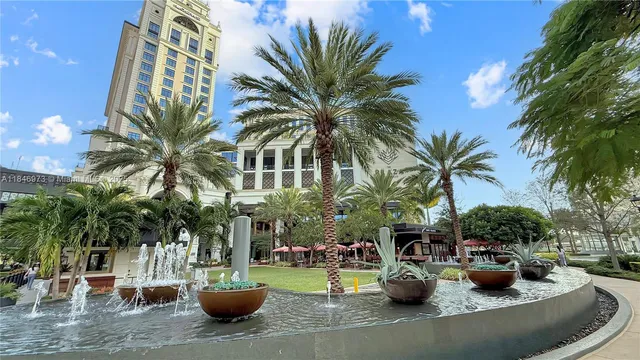 a view of a backyard with plants and palm trees