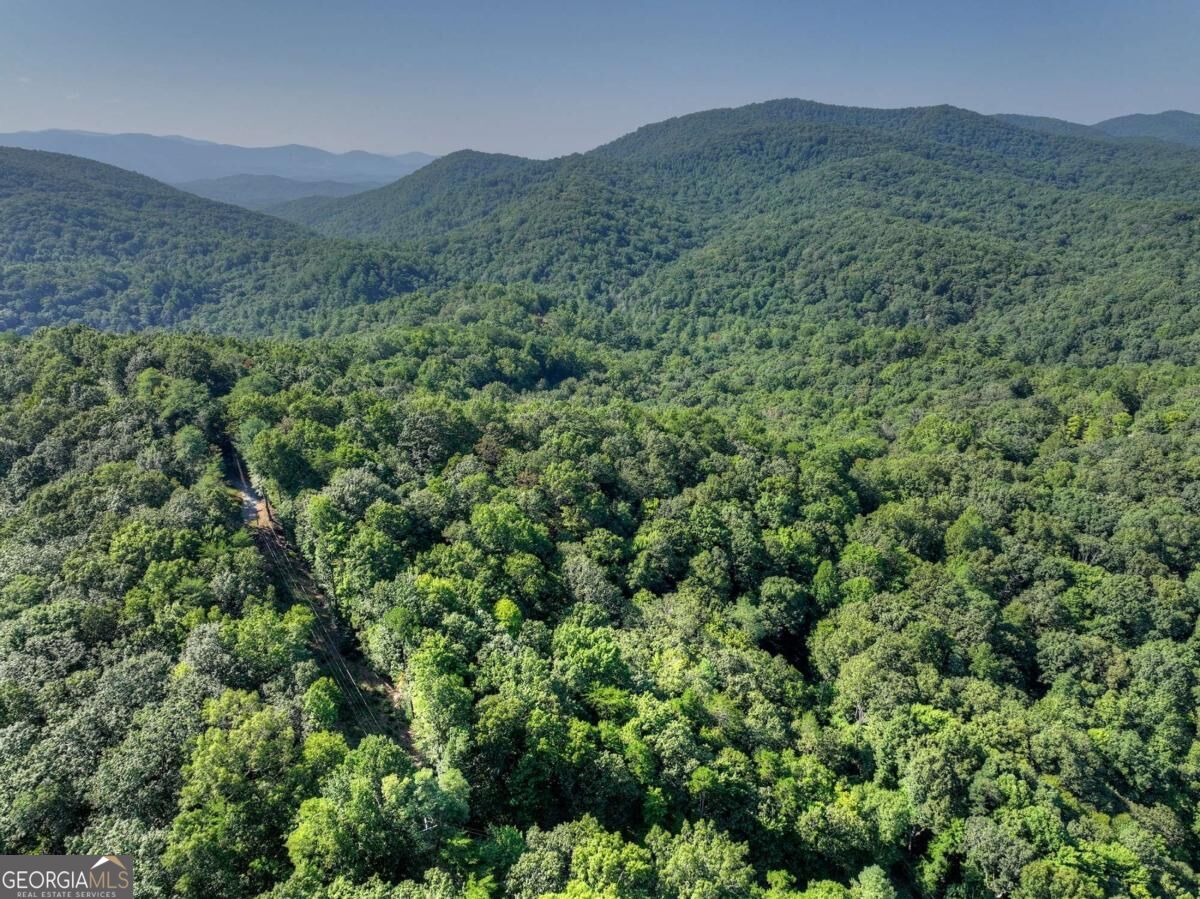 3.6-ac Prince Mountain Road Cherry Log, GA 30522 - Photo 12 of 22 Gallery Image 12