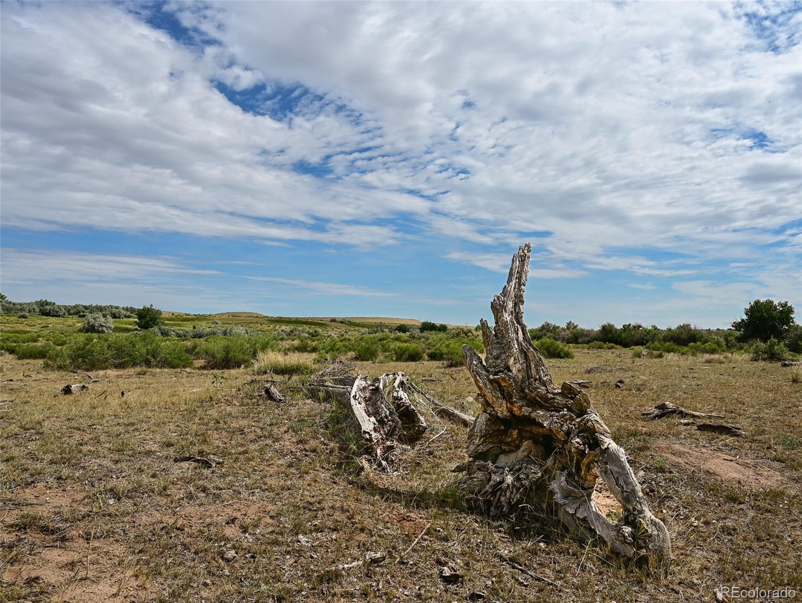 104 County Road 104 Rye, CO 81069 - Photo 3 of 14 Gallery Image 3