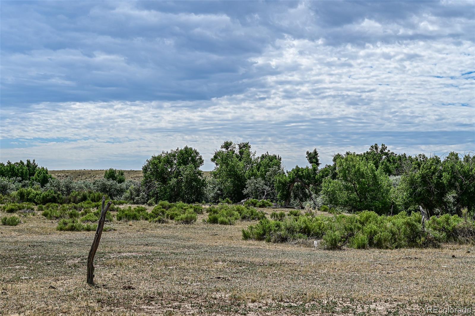 104 County Road 104 Rye, CO 81069 - Photo 9 of 14 Gallery Image 9