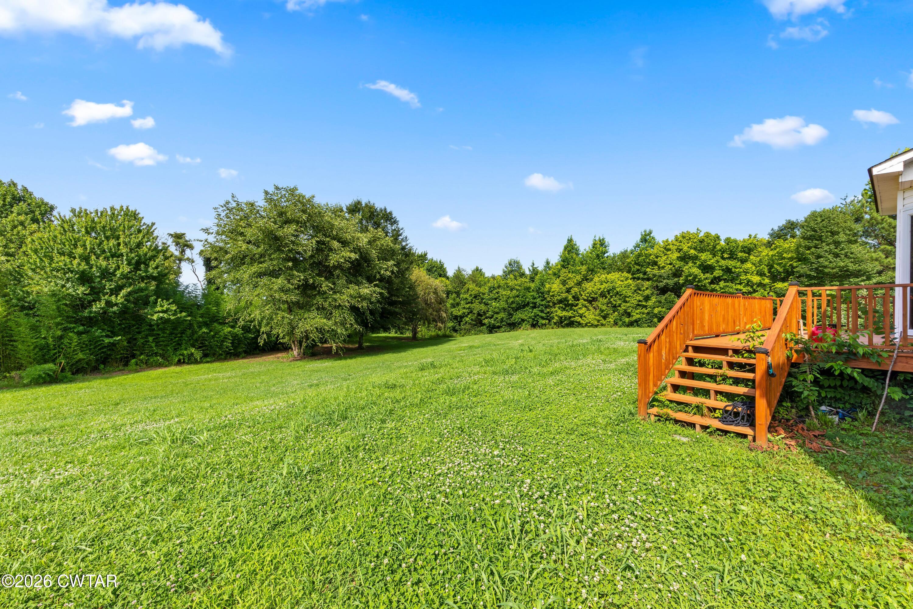 12057 Highway 19 E Ripley Tn 38063 East Ripley, TN 38063 - Photo 22 of 23 12057 back yard1