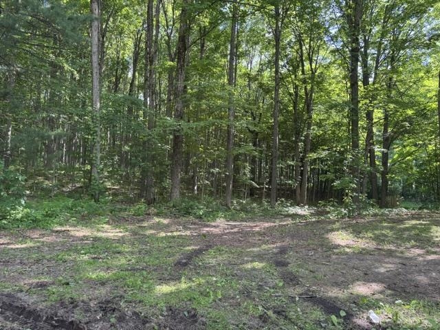 8299 West Walker Road Manton, MI 49663 - Photo 12 of 50