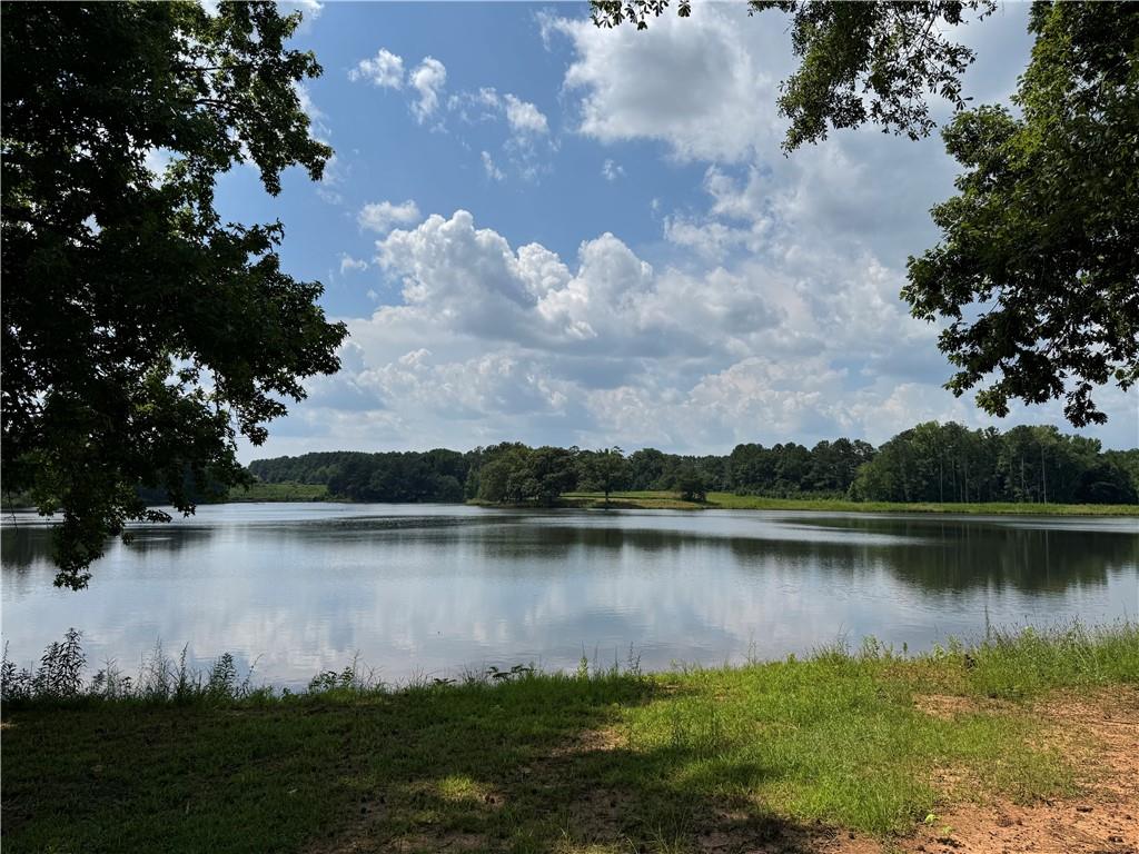 1189 Iris Lake Road McDonough, GA 30252 - Photo 10 of 38