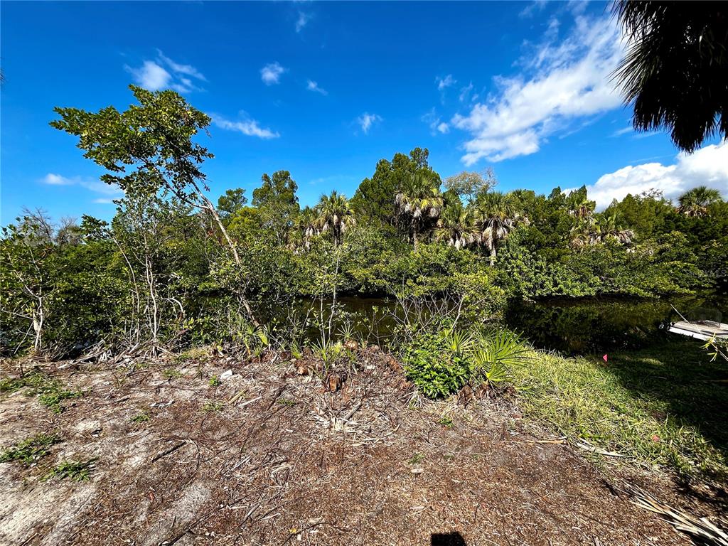 5105 Bay Boulevard Port Richey, FL 34668 - Photo 3 of 7 a view of a tree in a yard