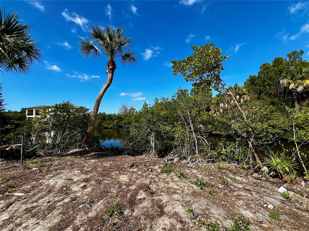 5105 Bay Boulevard Port Richey, FL 34668 - Photo 6 of 7 a view of a yard