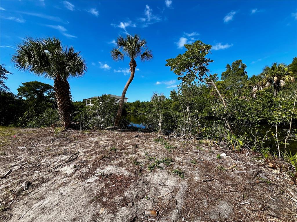 5105 Bay Boulevard Port Richey, FL 34668 - Photo 7 of 7 a picture of a yard