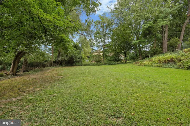 a view of yard with green space