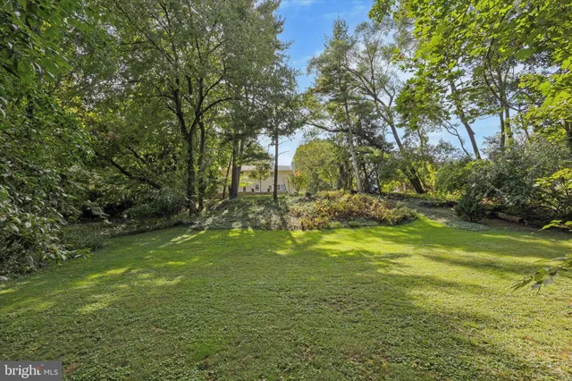 a garden view with a fountain
