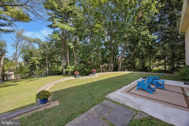a small garden covered with tall trees
