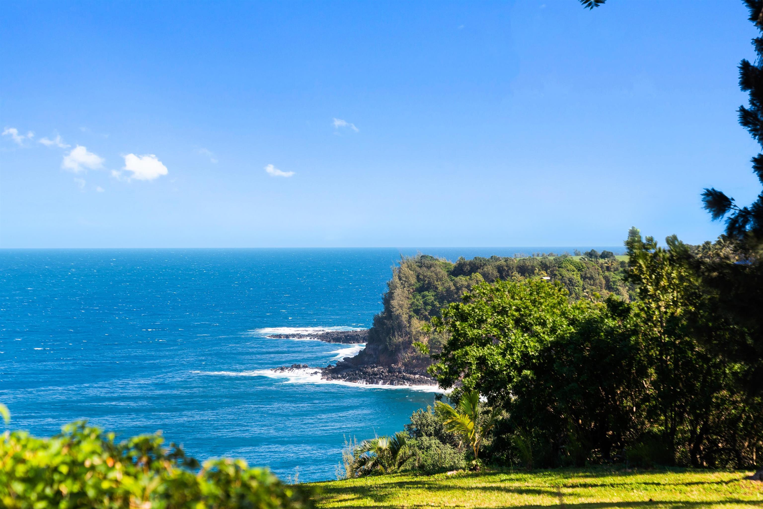 400 Mehana Road Haiku, HI 96708 - Photo 13 of 50 a view of an ocean