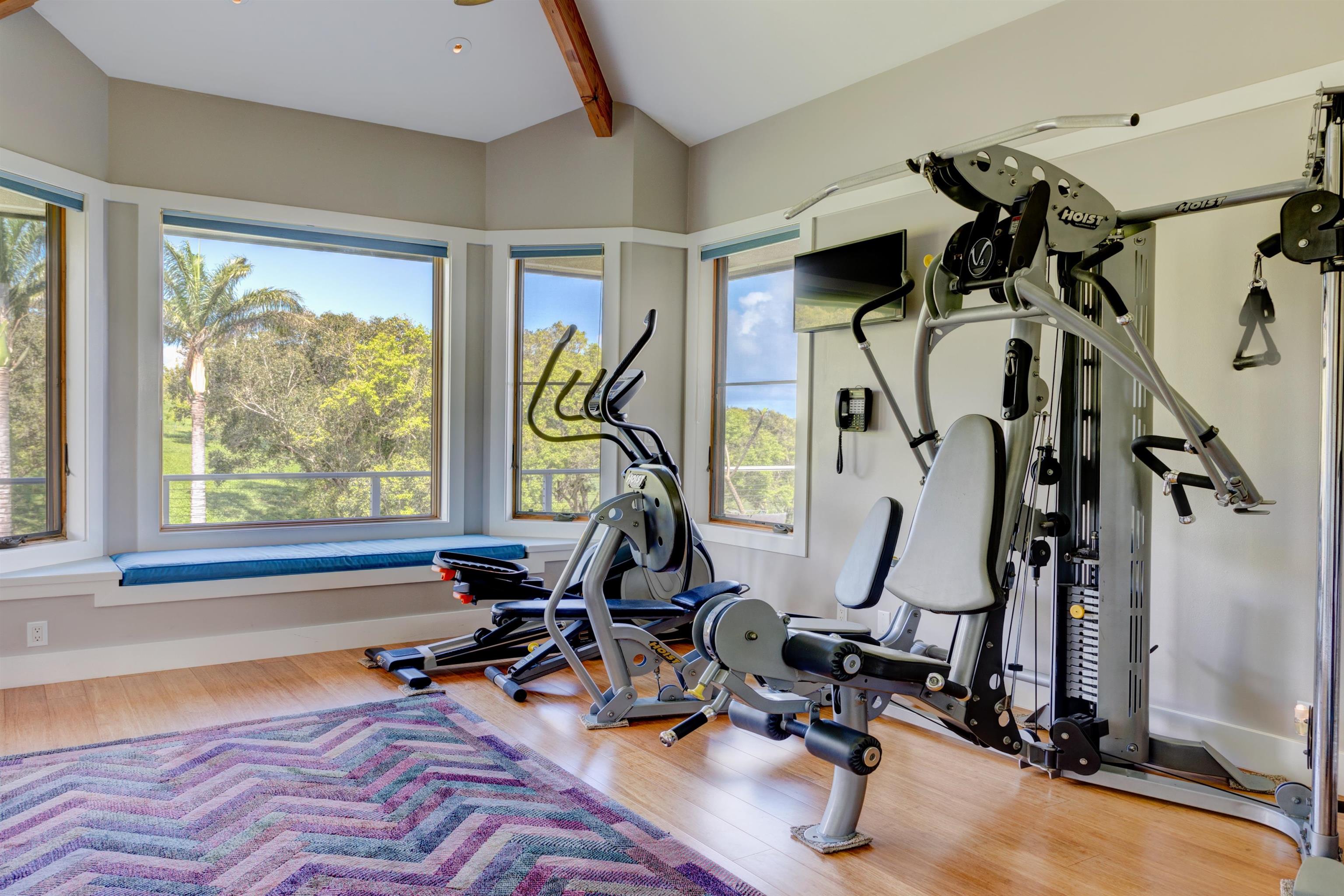 400 Mehana Road Haiku, HI 96708 - Photo 39 of 50 a view of a room with gym equipment