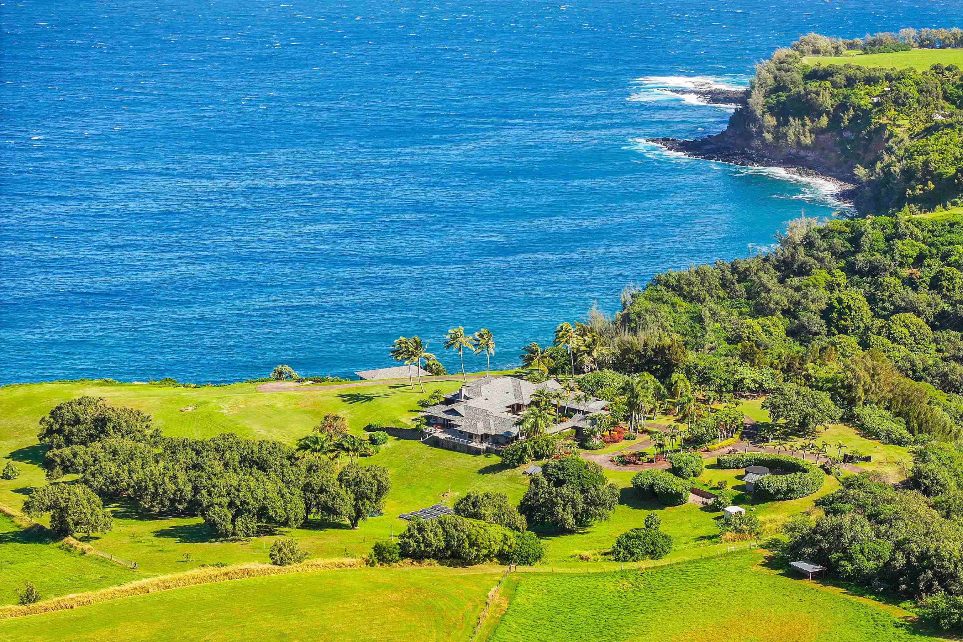 400 Mehana Road Haiku, HI 96708 - Photo 4 of 50 a view of a yard