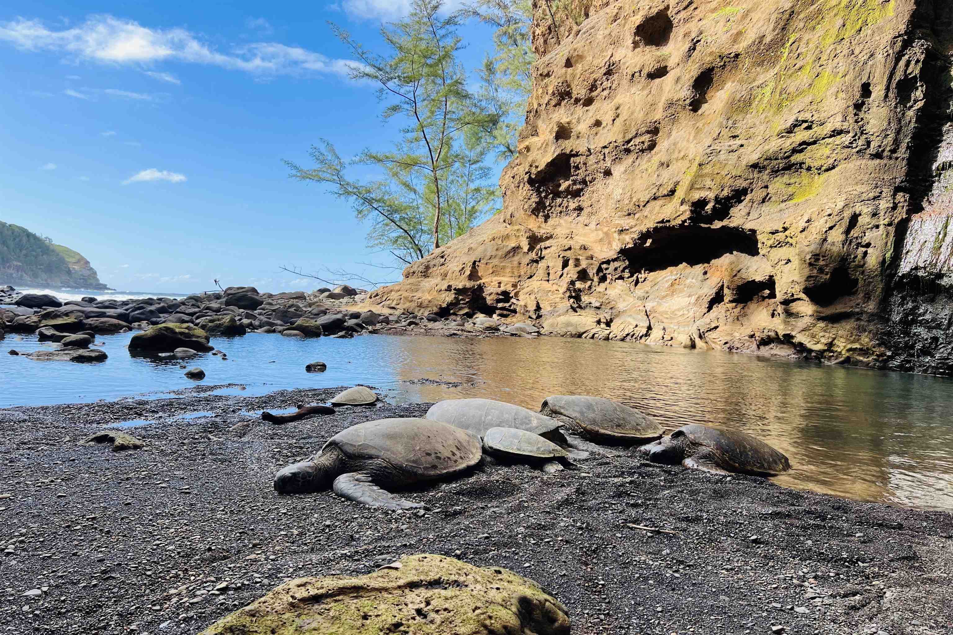 400 Mehana Road Haiku, HI 96708 - Photo 45 of 50 a view of a lake with an outdoor space
